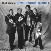 Обкладинка The String Quartet – Paint in black