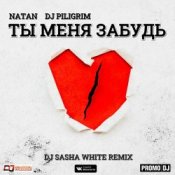 Обкладинка Natan & DJ Piligrim – Ты Меня Забудь