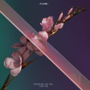 Обкладинка Flume – Never Be Like You (Feat. Kai)