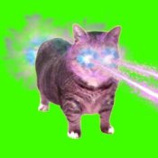 Обкладинка XertXetin – OIIA OIIA COSMIC Spinning CAT