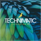Слухати Technimatic – Not Far To Go (Mixed)