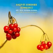 Обкладинка Бумбокс – Ой У Лузі Червона Калина