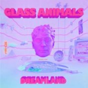 Обкладинка Glass Animals – Heat Waves