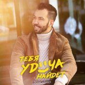 Обкладинка Денис Клявер – Тебя удача найдет