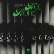 Обкладинка Hardwell & Dyro – Not Alone