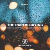 Обкладинка DJ JEDY – The Rain Is Crying