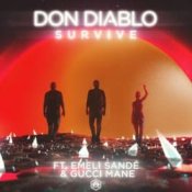 Обкладинка Don Diablo – Survive