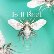Обкладинка Kabo – Is It Real (Extended Mix)