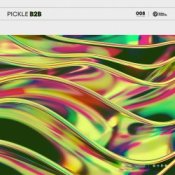 Обкладинка Pickle – B2B