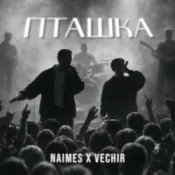 Обкладинка NAIMES & VECHIR – пташка