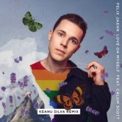 Обкладинка Felix Jaehn feat. Calum Scott – Love On Myself (Keanu Silva Remix)