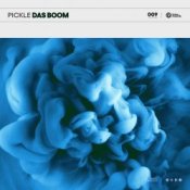 Обкладинка Pickle – Das Boom