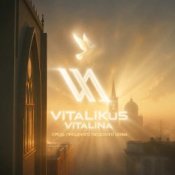 Обкладинка ViTaLiKuS – Средь праздного людского шума…
