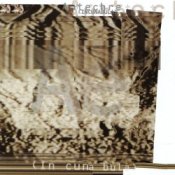 Обкладинка Autechre – Yeesland