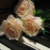 Обкладинка Василь Котович – Я ніколи нікому тебе не віддам