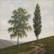 Обкладинка Сергей Видов – Берёза и тополь