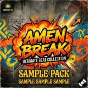 Обкладинка Sample – Amen Break