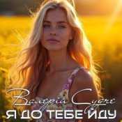 Слухати Валерій Судче – Я до тебе йду