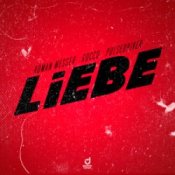 Обкладинка Roman Messer & Rocco & Pulsedriver – Liebe