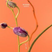 Обкладинка MYRNE – Time (Something To You)