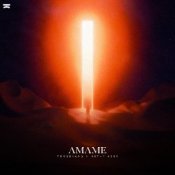 Обкладинка Tungevaag & Nethy Aber – Amame