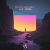 Обкладинка Tungevaag & Callon – All I Need