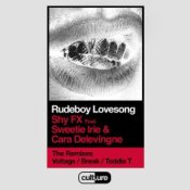 Обкладинка Shy FX feat. Sweetie Irie and Cara Delevingne – Rudeboy Lovesong (Remixes)