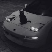 supwel - "not alone" (chill, wave vibe)