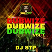 Обкладинка Dj Stp – Mek You Wine Slow