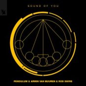 Обкладинка Pendulum & Armin van Buuren & Rob Swire – Sound of You