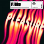 Обкладинка HAWK – Pleasure (feat. Azooland)