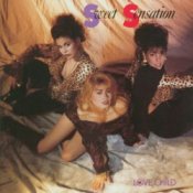Обкладинка Sweet Sensation – If Wishes Came True
