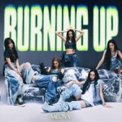 Обкладинка MEOVV – BURNING UP