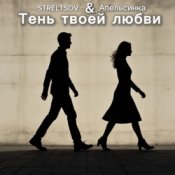 Обкладинка STRELTSOV & Апельсинка – Тень твоей любви