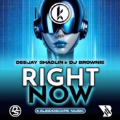 Обкладинка Deejay Shaolin & DJ Brownie – Right Now