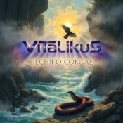Обкладинка ViTaLiKuS – Песня о Соколе