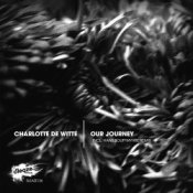Обкладинка Charlotte De Witte – When The Going Gets Rough (Hans Bouffmyhre Remix)