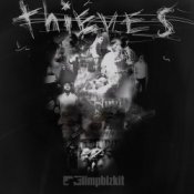 Обкладинка Limp Bizkit – Thieves