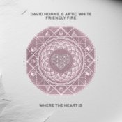 Обкладинка David Hohme & Artic White – Friendly Fire
