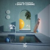 Обкладинка Daytune & Dogmeow – I Saw It Coming