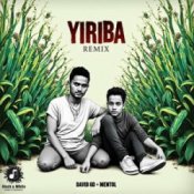 Обкладинка David 6D & Mentol – Yiriba (Remix)