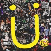 Обкладинка Skrillex – The Reason