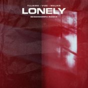 Обкладинка Tujamo feat. VIZE & Majan – Lonely (Besomorph Remix)