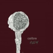 Обкладинка Calibre – Dumb bum