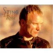 Обкладинка Sting & Feat Cheb Mami – Desert Rose