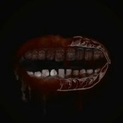 Обкладинка Бонд с кнопкой – Слоны