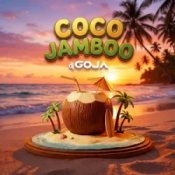 Слухати Dj Goja – Coco Jamboo