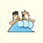 Обкладинка Hyper Potions – Surf