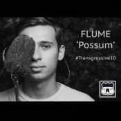 Обкладинка Flume – Possum