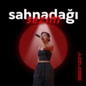 Обкладинка Sendy – Sahnadağı sezim
